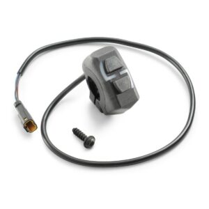 Combination switch